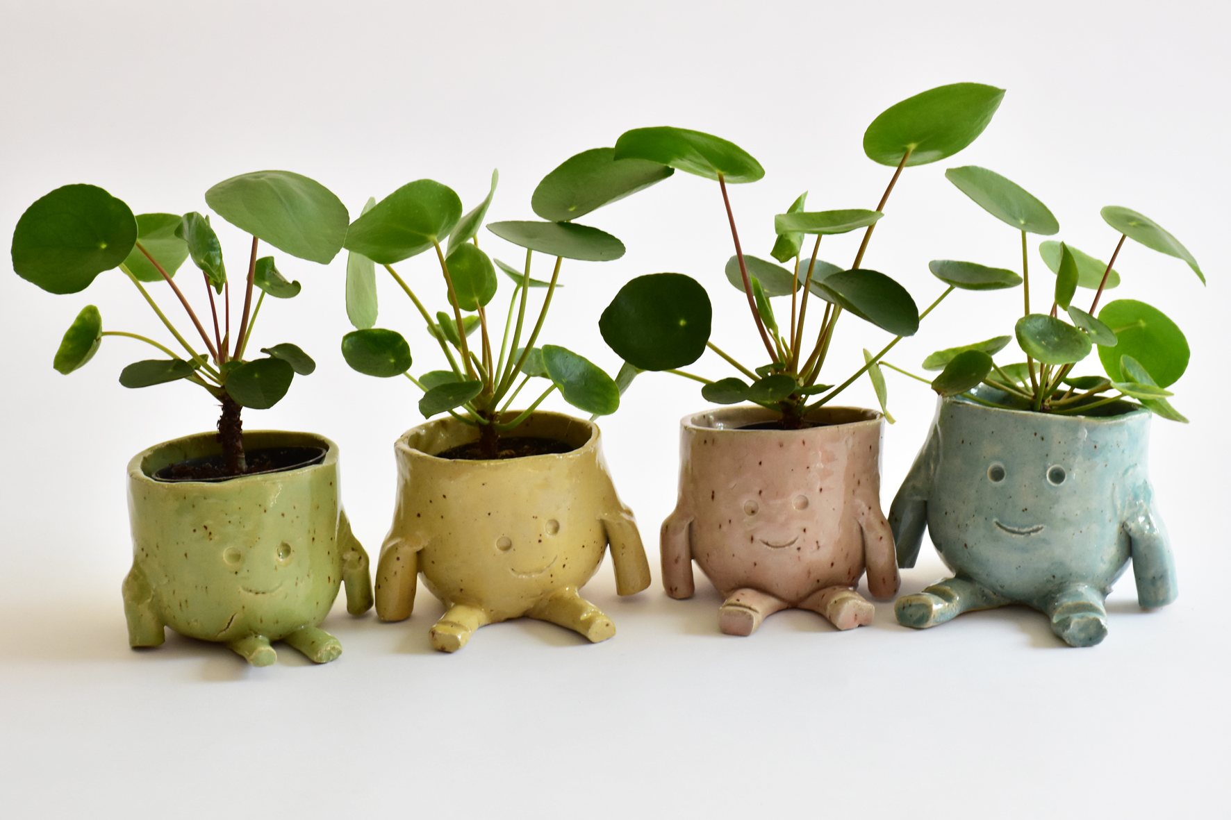 4 kleurige mannetjes met plant