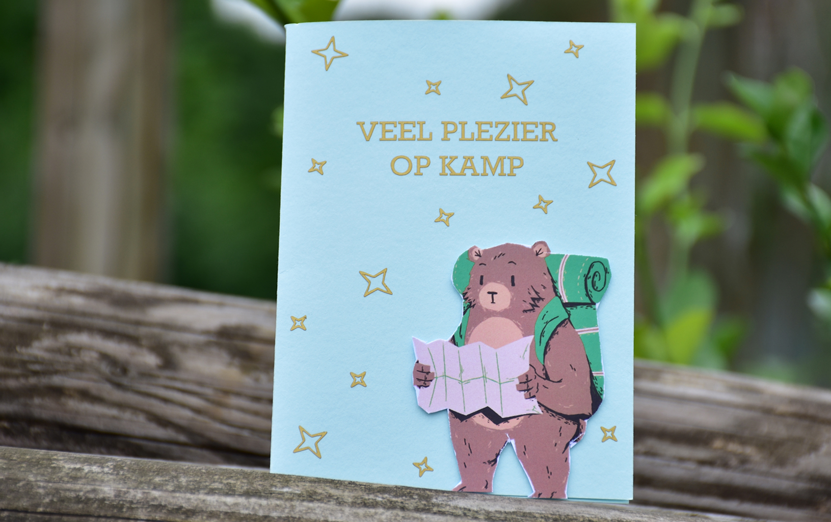 kampkaartje beer rechthoek
