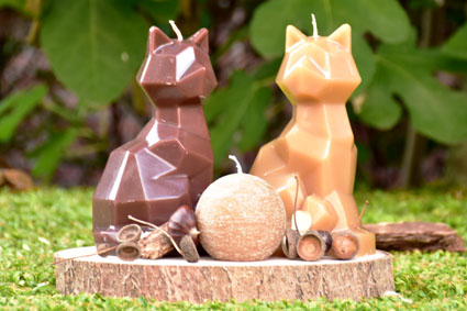 katten sfeer rechthoek